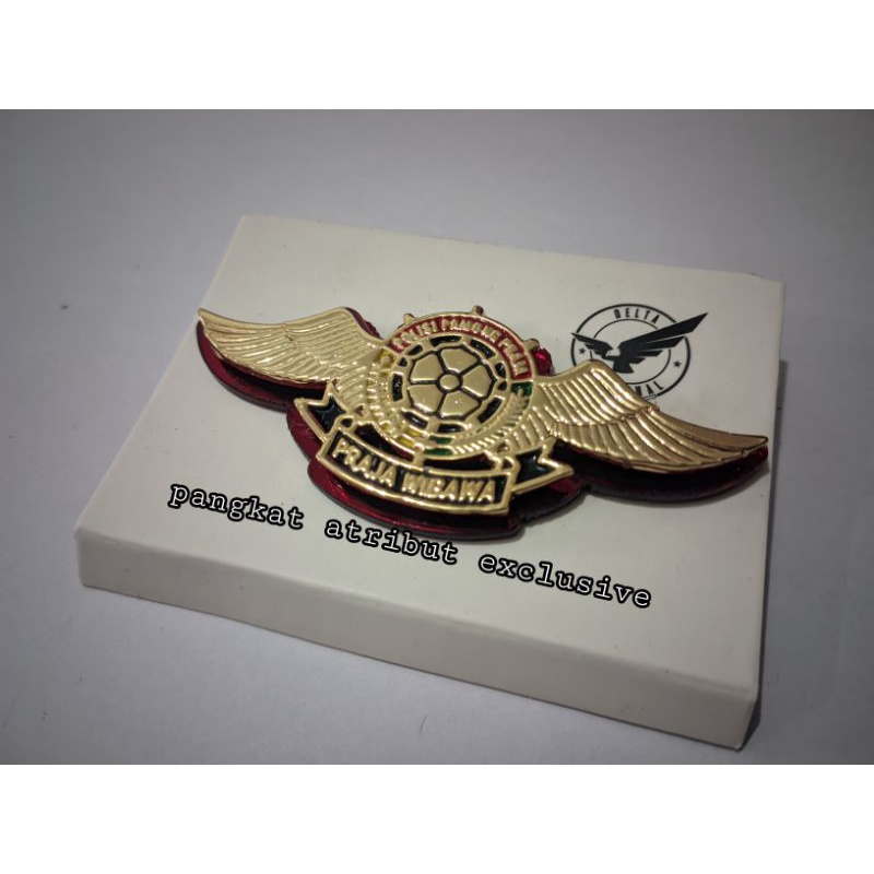 wing satpol pp / pin satpol pp