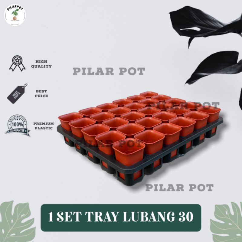 1 SET TRAY LUBANG 30 + POT NKT KOTAK 5CM MERAH BATA 30 PCS | TRAY SEMAI BIBIT