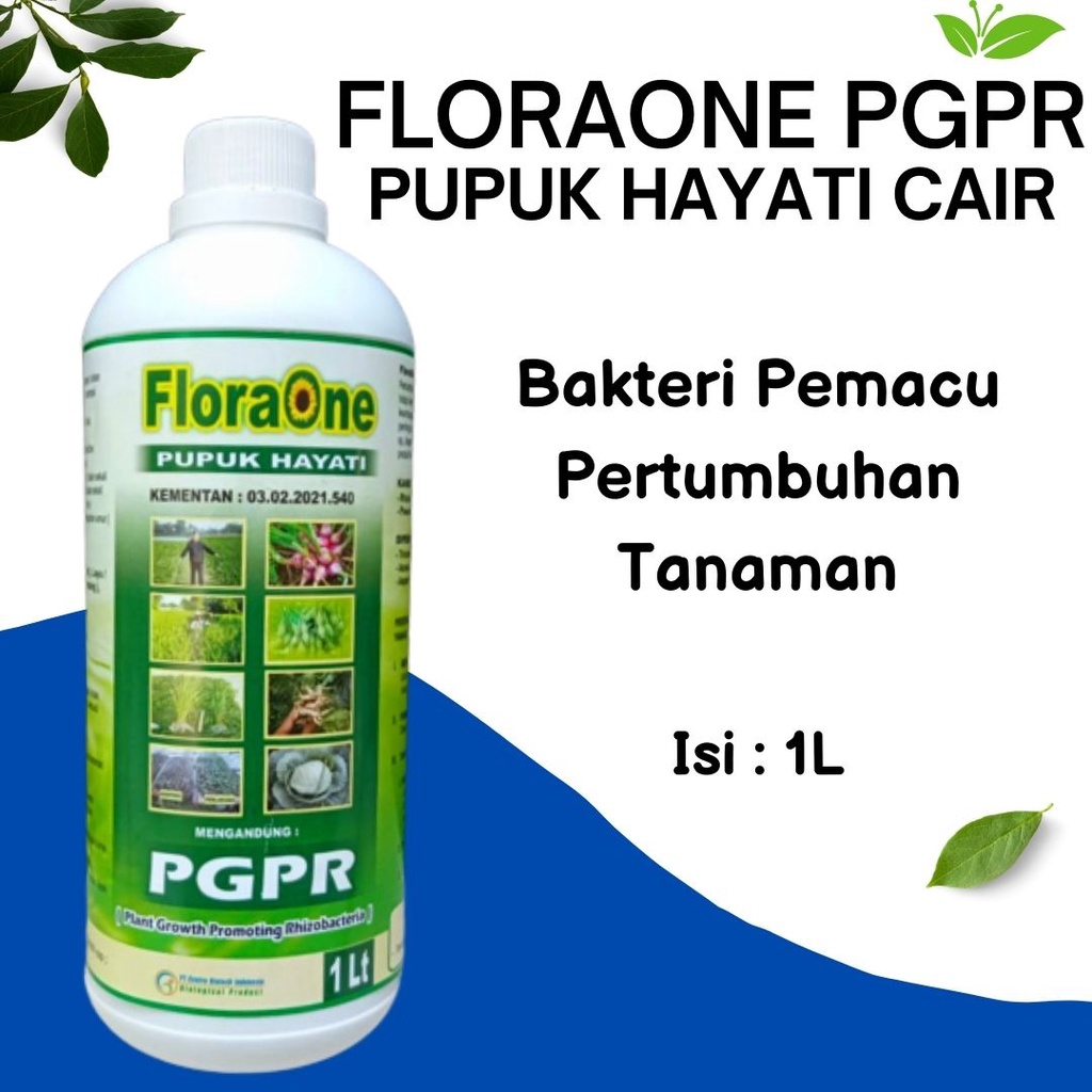 Pupuk Cair Organik Untuk Tanaman Vanili PGPR, Pupuk Hayati Cair Cegah Hama Tanaman Vanili, Pelebat V