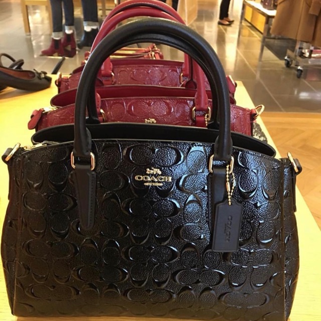 

COACH SAGE DEBOSSED Ukuran 26x19cm Paperbag dustbag&cc include