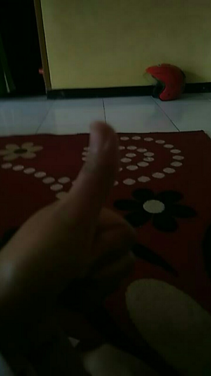 Kebaya Pinguin Brukat Anak
