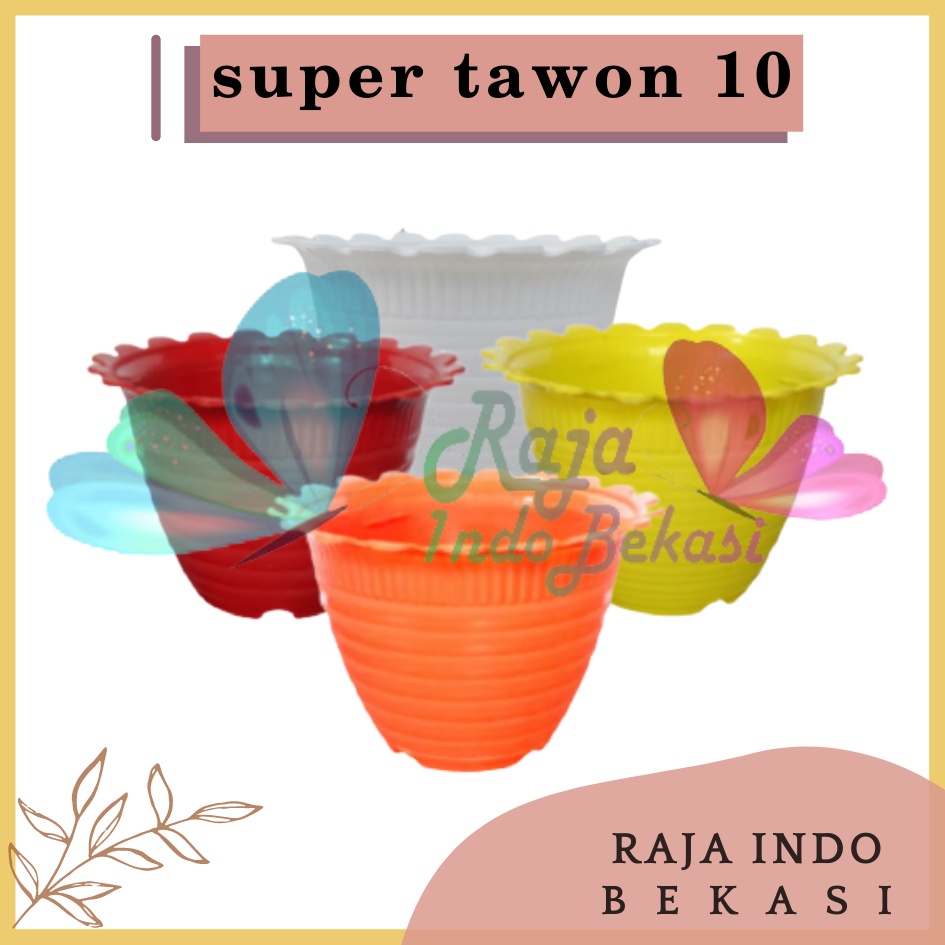 Pot Tawon Dahlia Super Tawon 10 Putih Kuning Orange Merah Pot Tawon Putih Pot Kaktus Mini Lucu Murah