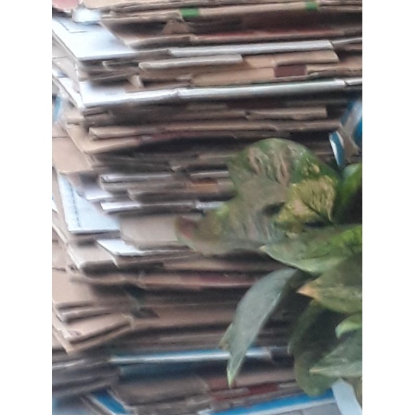 kardus bekas paking dan pindahan / dus indomi / kapal api / karton bekas / dus granita
