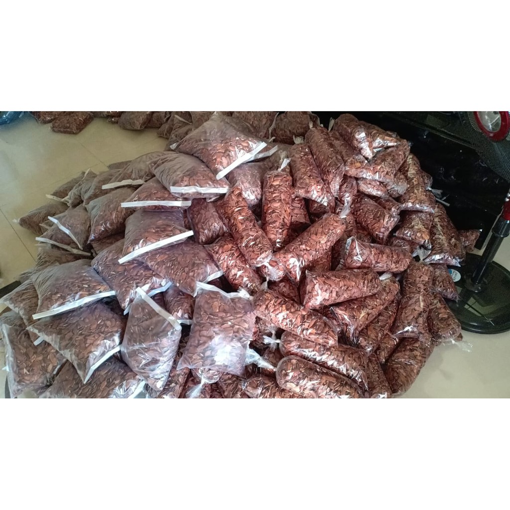 500gr biji buah mahoni organik 500gr 500 gr