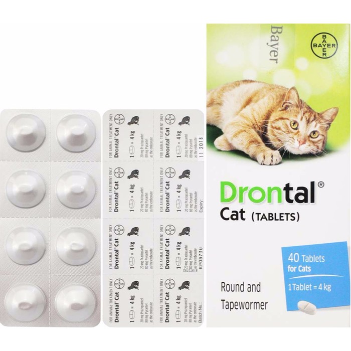 Jual Drontal cat Obat Cacing Kucing bs untuk anak kucing kitten