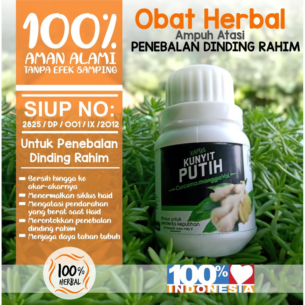 Jual Obat Herbal Penebalan Dinding Rahim Kunyit Putih Isi 60 Kapsul Obat Penebalan Dinding 2831