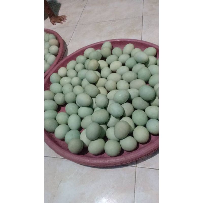 

telur asin ready,stiap hari baru