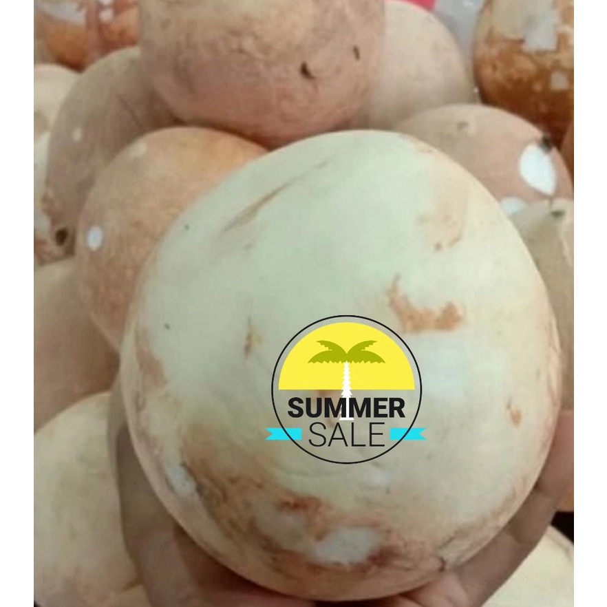 

Kelapa Parut segar / Santan Fresh