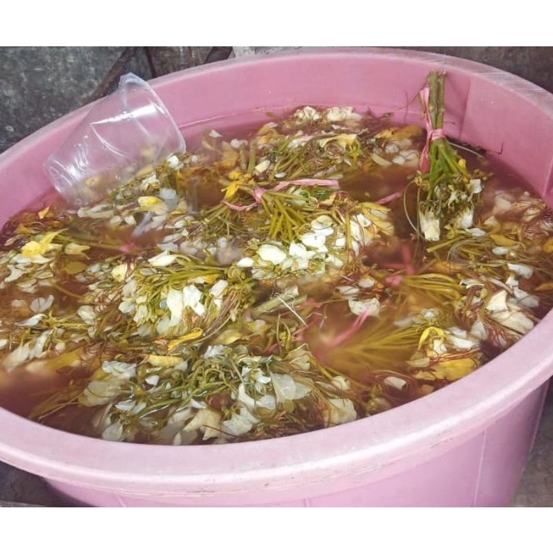 

Sayur Jaruk Kembang Tigarun Khas Banjar