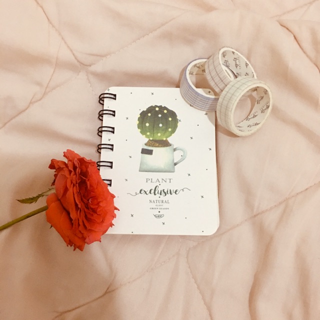

Cactus minibook spiral