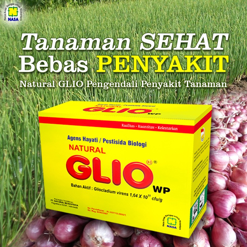 GLIO FUNGISIDA ORGANIK PENGENDALI JAMUR FUSARIUM ORIGINAL NASA PEMALANG