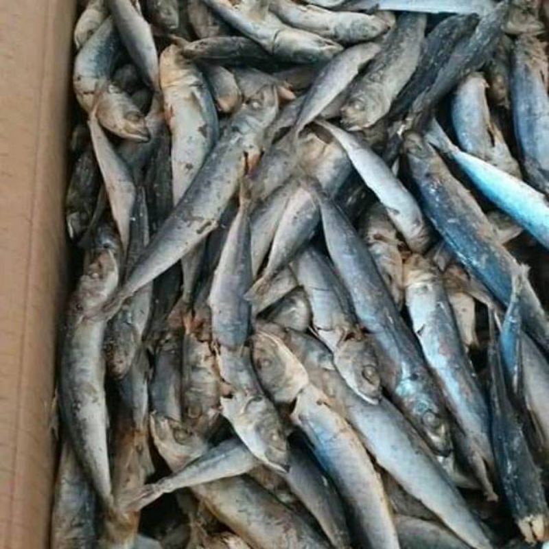 

ikan asin rebus