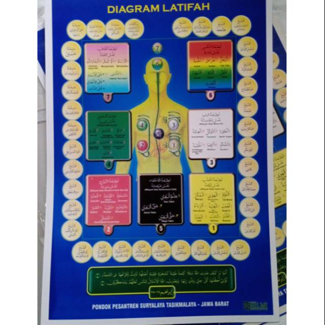 Diagram Latifah Kecil