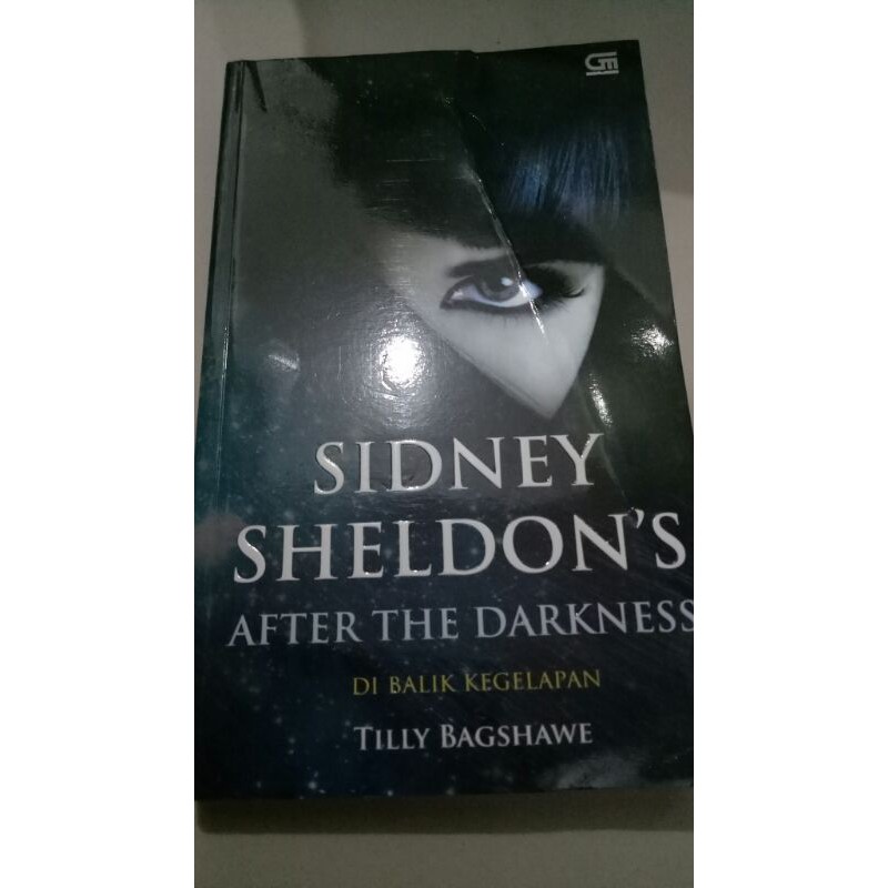 Novel After The Darkness - Sidney Sheldon