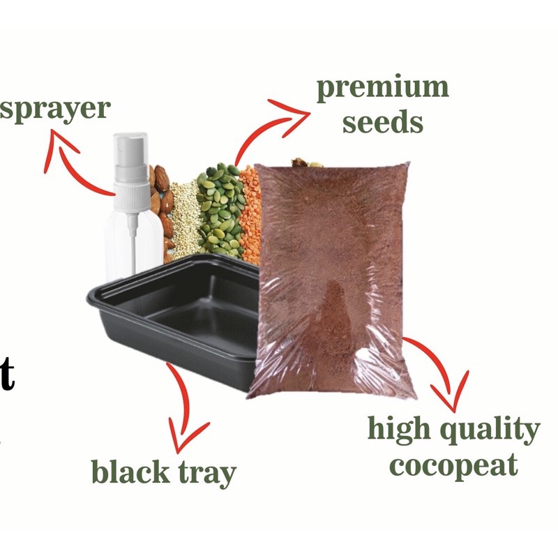 

paket microgreen mindyourseed.id