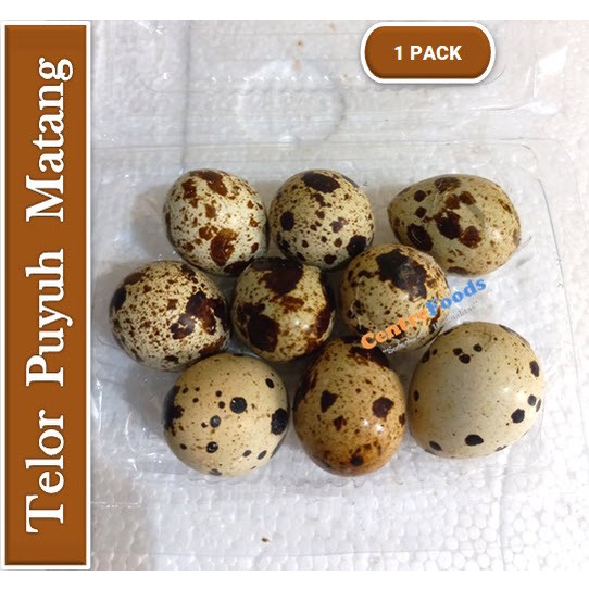 

Telor Puyuh Fresh - Matang | Isi 9 Pcs [ Harga Per PACK ]