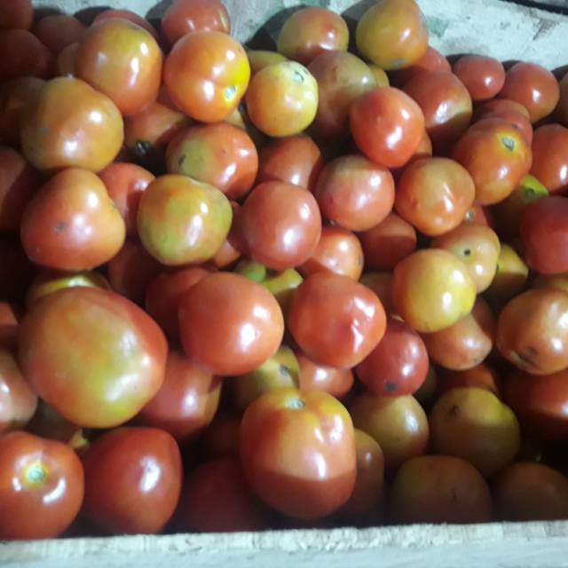 

Tomat / 500gr