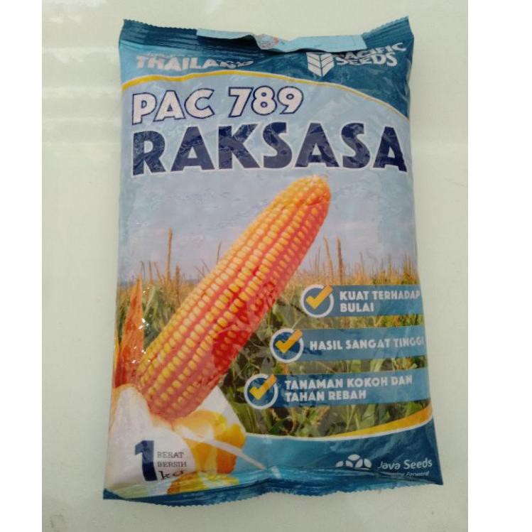 8.8 Promo Brand Benih Jagung hibrida PAC 789 RAKSASA 1Kg Pacific Seeds
