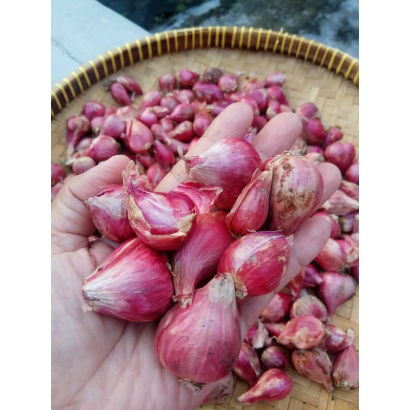 

Bawang merah 200gr