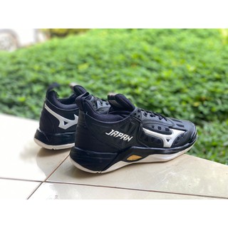 Jual Sepatu Voli Mizuno Wave Momentum Japan Cod Indonesia Shopee Indonesia