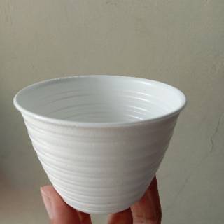  Pot  tawon  putih  diameter 10  cm  dan 12 cm  Shopee Indonesia