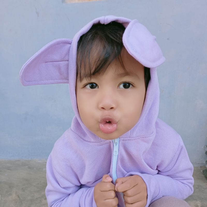 HOODIE KUCING ANAK ZIPPER SWEATER / JAKET/ BAJU HANGAT KIDS 2-4 TAHUN