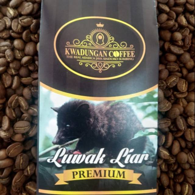 

Kopi luwak