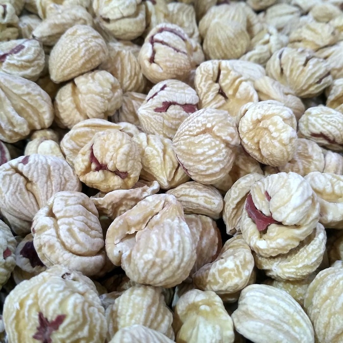 

10cscss Kacang Lakci Chestnut 1/2 Kg Dscscv