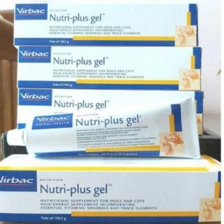 Vitamin kucing Nutriplusgel suplemen kucing anjing - nutri plus gel