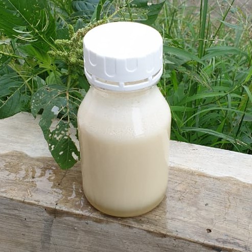 

Madu Kelanceng Putih 300g