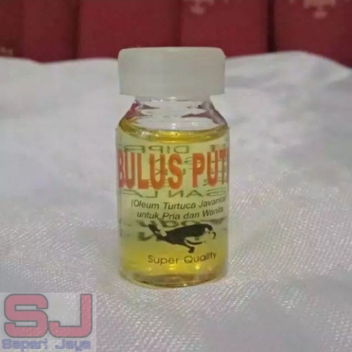 Terlaris MINYAK BULUS ORIGINAL / MINYAK BULUS PUTIH ORIGINAL