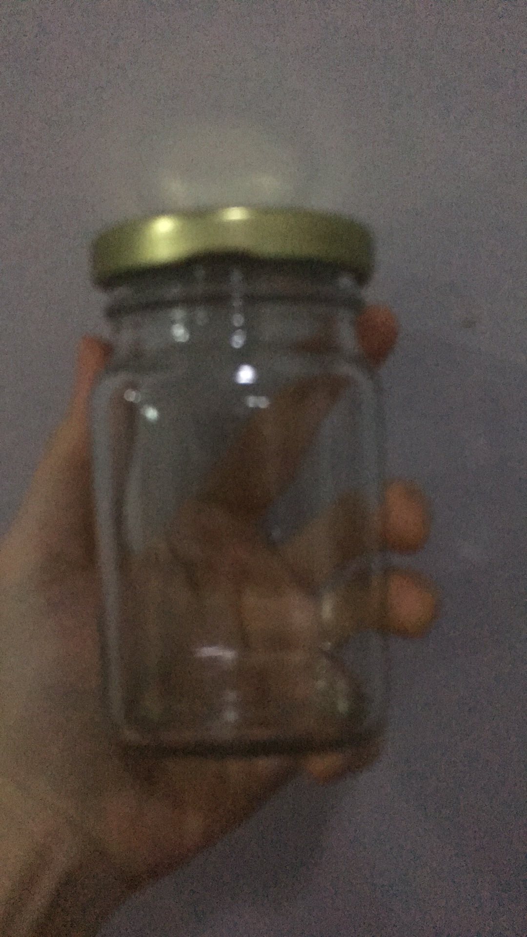 Michigan Glass Jar | Toples Bumbu Sambal | Jar Kaca Tutup Stainless