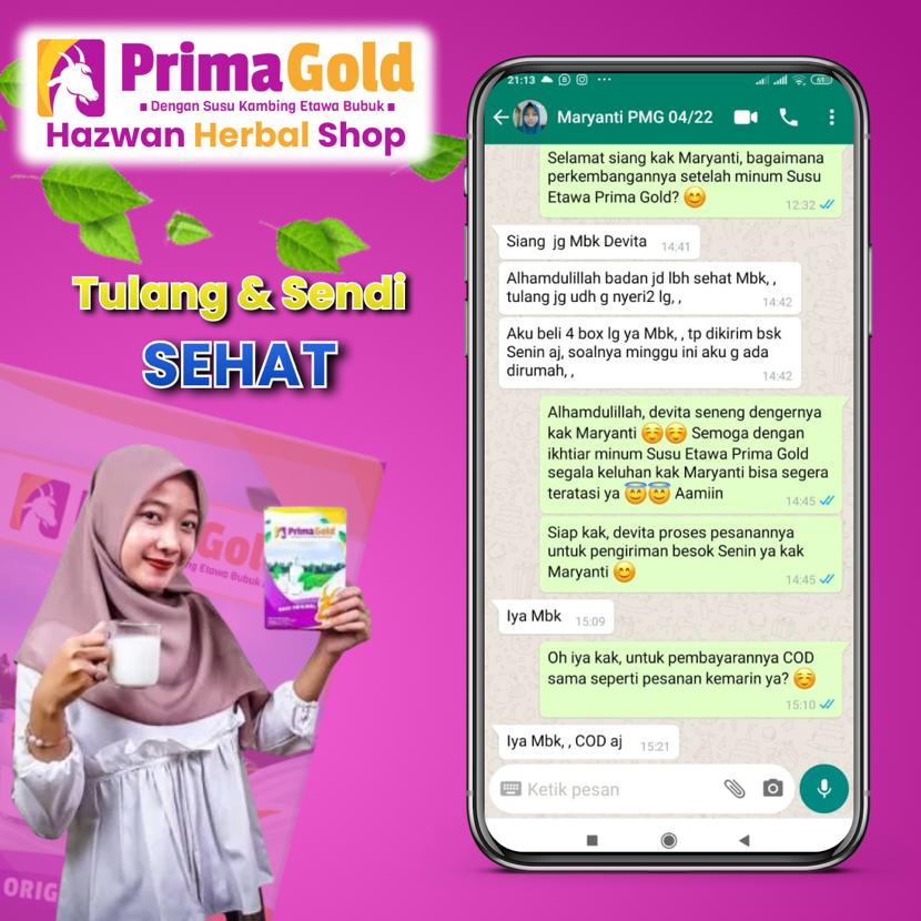 Prima Gold - Golden Goat Susu Murni Kambing Etawa Bantu  Optimalkan Kepadatan Tulang &amp; Sendi, Bantu Atasi Masalah Pernapasan Asma Bronkitis Radang Tenggorokan Tingkatkan Kekebalan Imunitas Lancarkan Pencernaan Isi 200gr