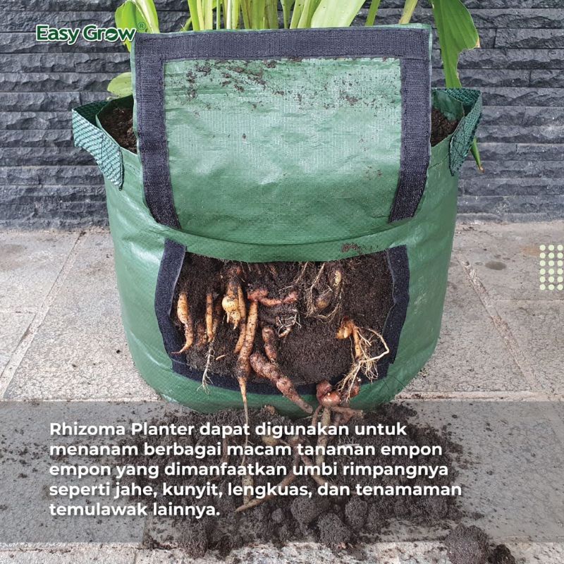 Rhizoma Planter Size S Planter Bag Umbi Easy Grow