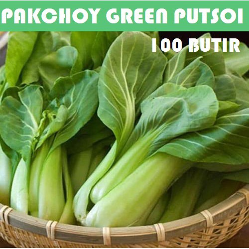 Bibit Benih Biji Pakchoy Pakchoi Green White Sawi Daging Bok choy Bokchoi Pokcoy Pokcay-Pakchoy Putsoi 100