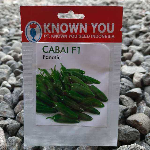 benih sayur cabe jalapeno FANATIC F1 (25btr)Known You Seed
