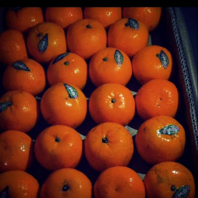 

Jeruk kino raja pakistani