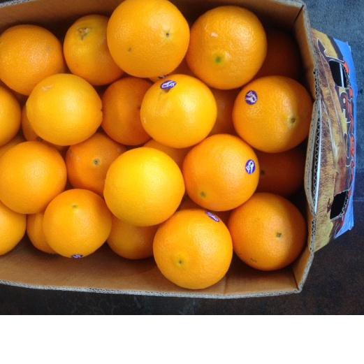 

PROMO 11.11 KODE-597 Jeruk Sunkist Valencia 1kg