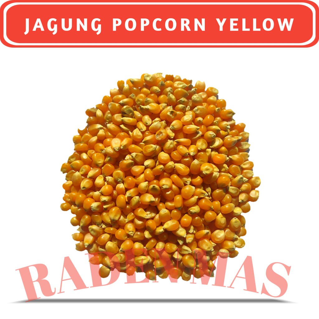 

JAGUNG POPCORN YELLOW - GOURMET YELLOW POPCORN 250 Gram