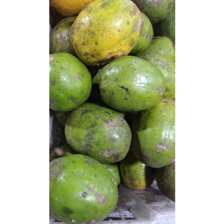 

Buah Kedondong segar
