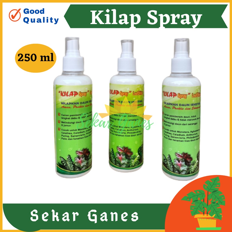 Kilap Spray leafshine 250 ml Pengkilap Daun Seketika Lebih Efisien Semir Pengkilap Daun - Kilap Daun SPRAY 250 ML Pengkilap Daun Seketika Lebih Efisien kilap daun spray 250 ml