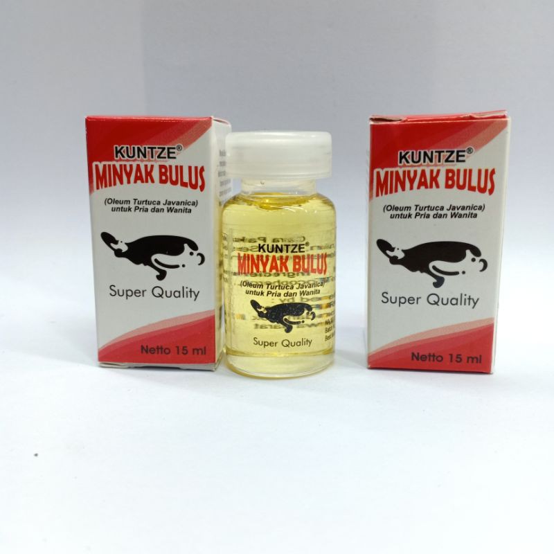 MINYAK BULUS KUNTZE BPOM super Quality