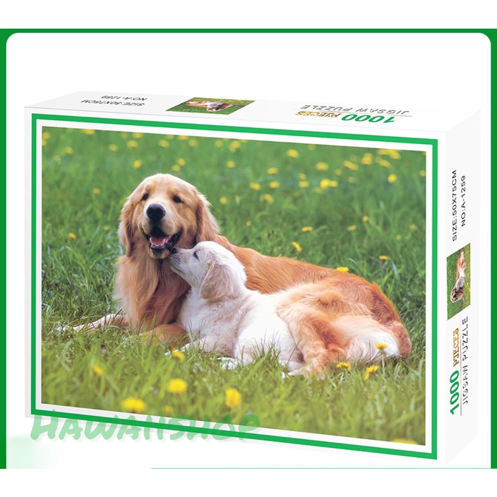 Puzzle Jigsaw 1000 pcs Uk.75x50cm - Golden retriever