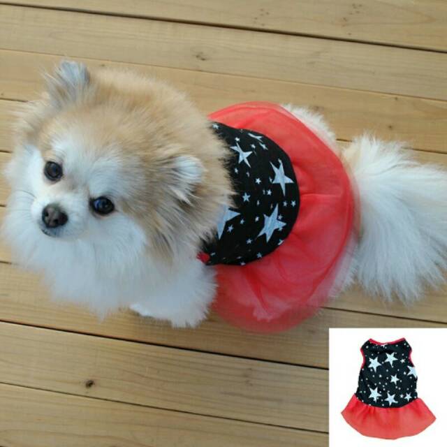 dress cantik murah motif bintang tutu baju anjing kucing