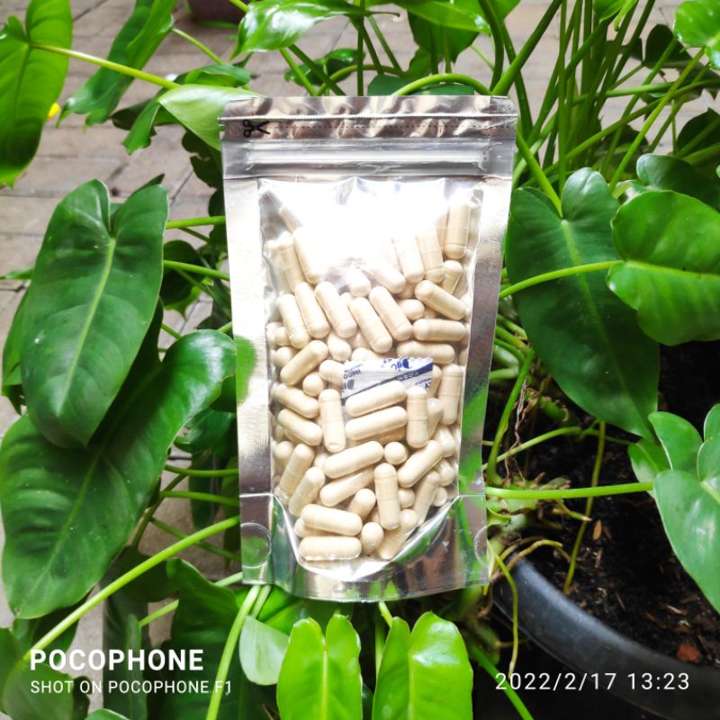 

120 Kapsul Ginseng Chang Bai 长白人参 China