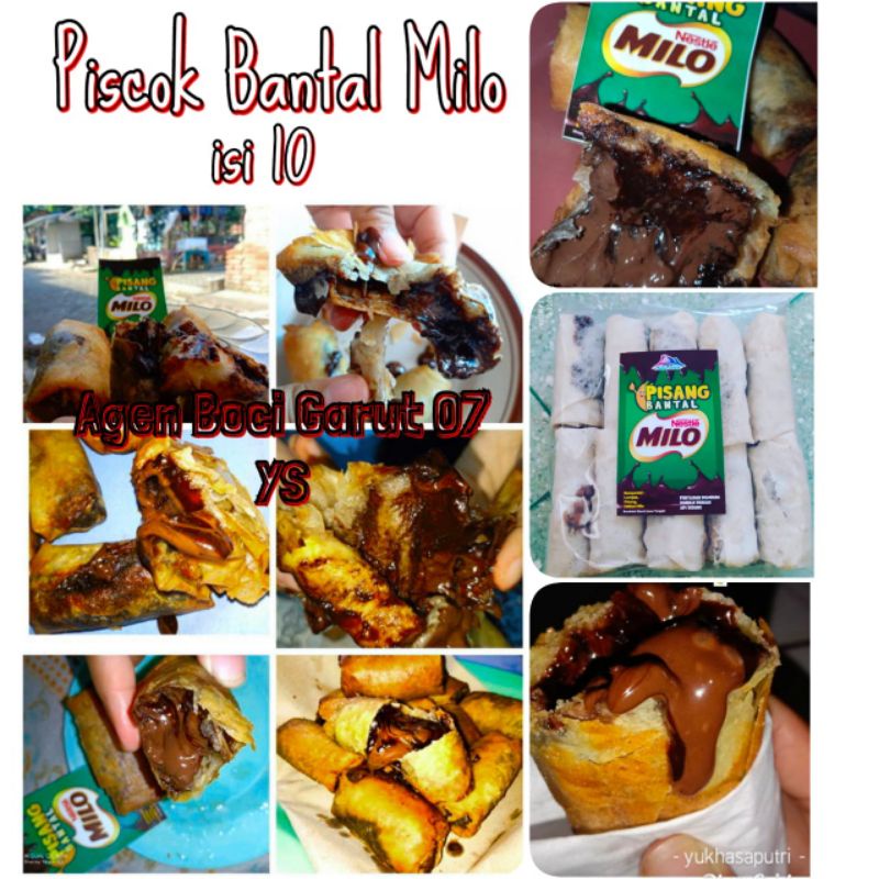

picok milo lumer