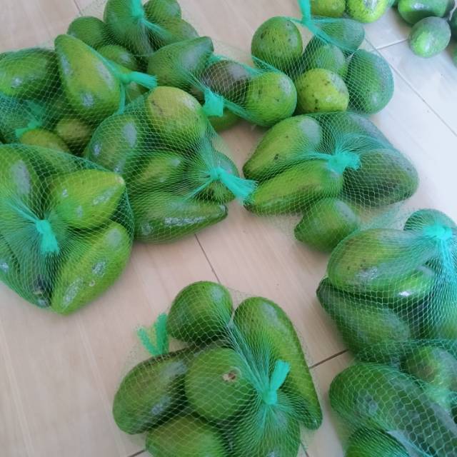 

Alpukat mentega