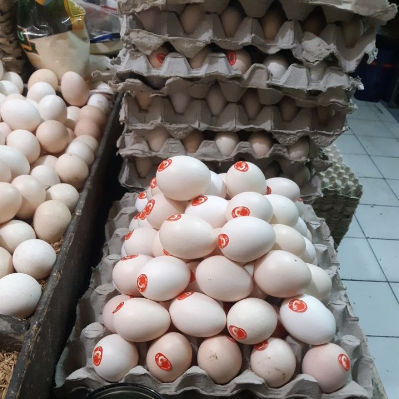 

telur ayam kampung merah omega fresh