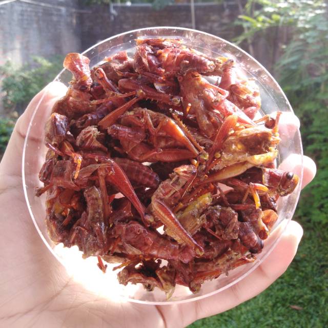 

Belalang goreng