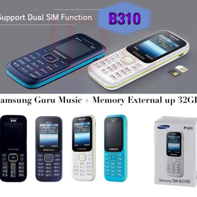 Samsung B310 (guru music)